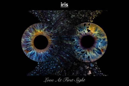 iris portraits merging iris hearts